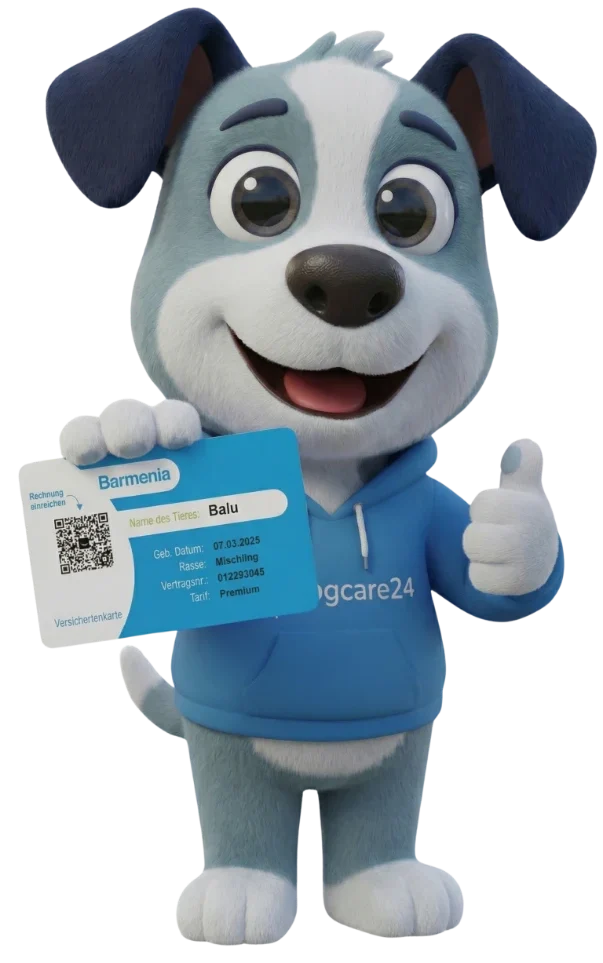 Balu, das Dogcare24-Maskottchen, zeigt die Versichertenkarte mit QR-Code
