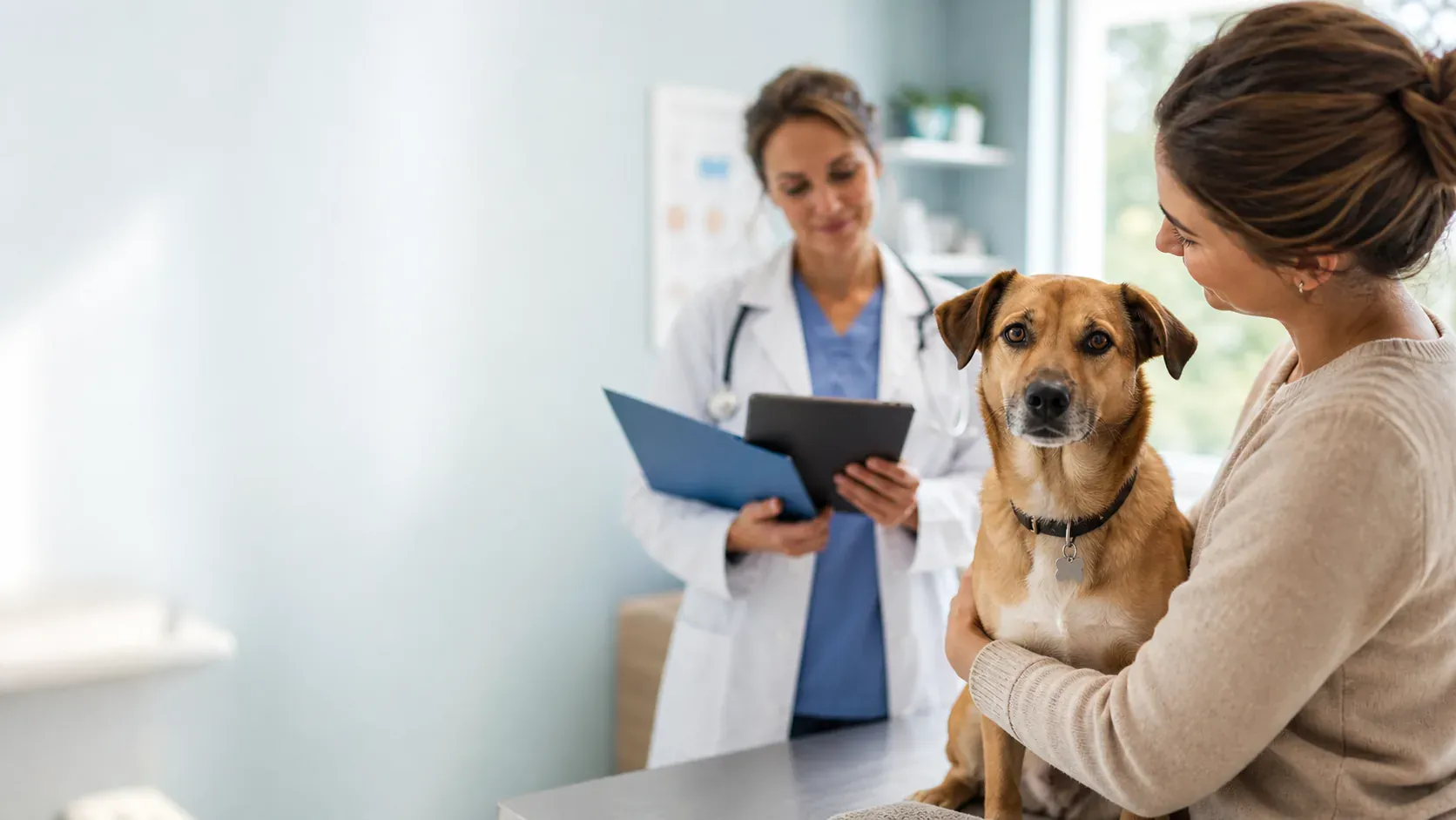 Hundekrankenversicherung trotz Vorerkrankung: Was ist möglich?